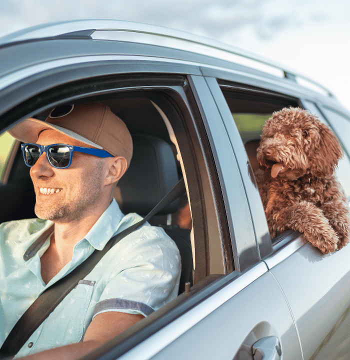Man driving a car with his dog hanging out the window